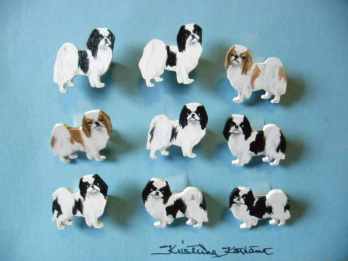 Japanese chin -pinssej